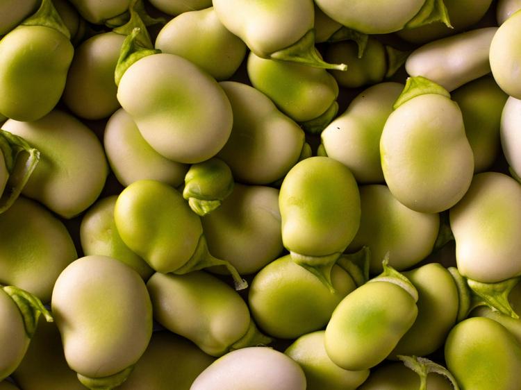 秋梨膏真能润肺止咳？营养科专家解析养生密码