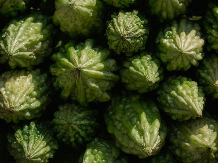 夏季吃这4种瓜，满足你的健康需求！