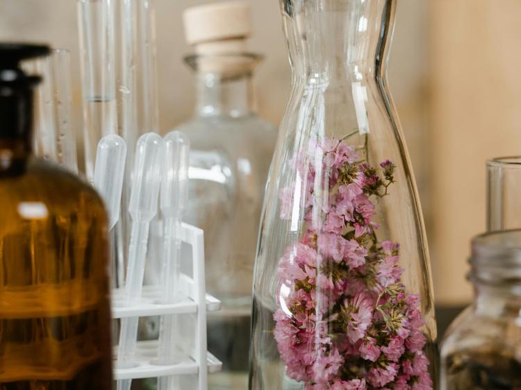 经期喝对花茶：3种科学搭配缓解痛经与情绪波动