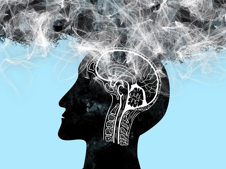 中年真的是延缓大脑衰老黄金期？研究给出答案！