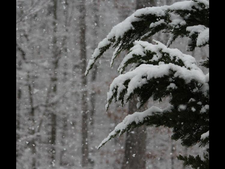 暴雪天健康防护