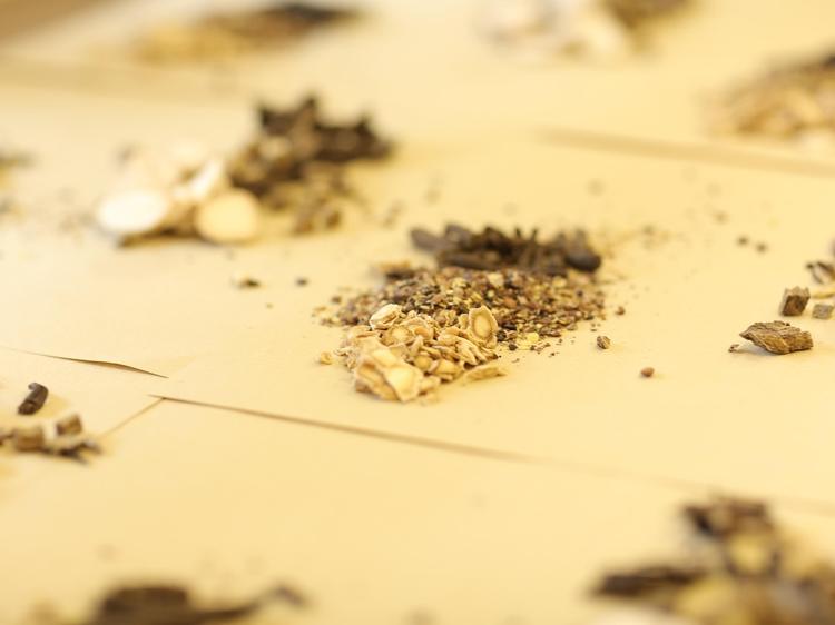 脾虚湿热体质饮食调理指南:5种健脾祛湿食材解析 脾虚湿热体质饮食调理指南:5种健脾祛湿食材解析