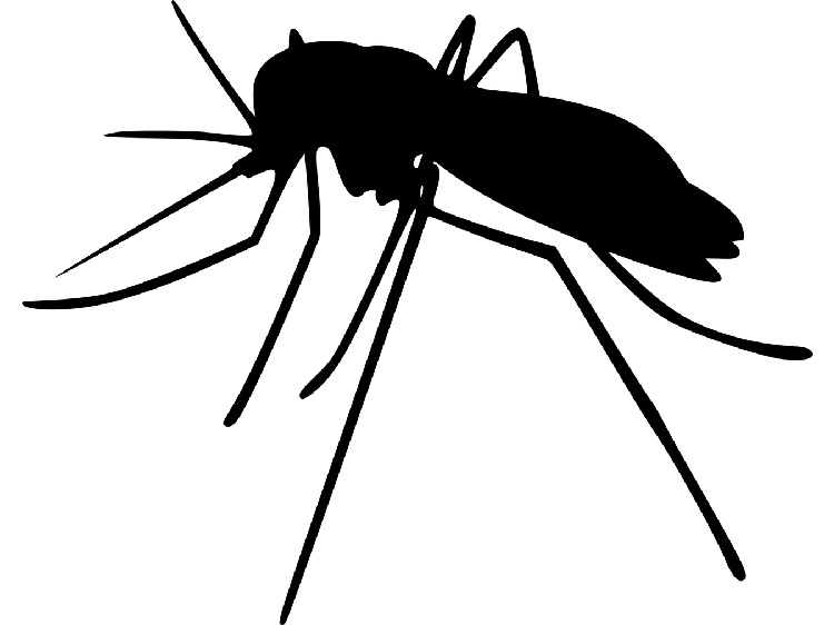 血型真的招蚊子吗?夏季科学防蚊攻略来了! 夏季科学防蚊攻略