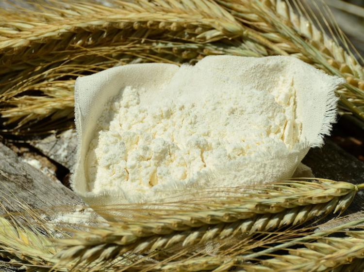 米饭or高粱米?每日主食搭配方案助你控糖不饿肚子