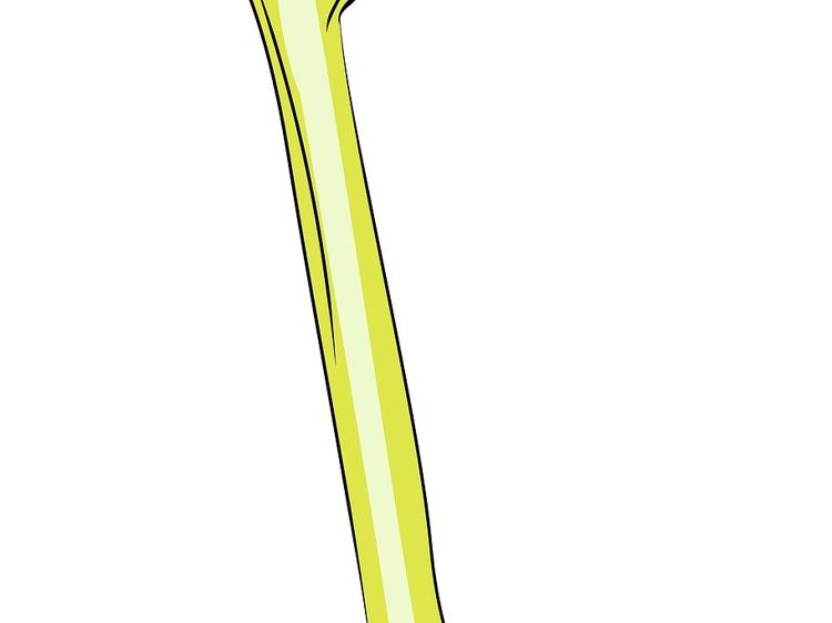 骨折后这样吃！科学饮食加速骨骼修复，告别补钙误区！