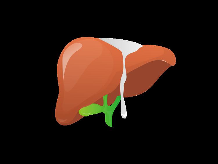 肝癌患者如何吃?科学饮食方案助康复,远离复发风险! 肝癌患者如何吃?科学饮食方案助康复,远离复发风险!