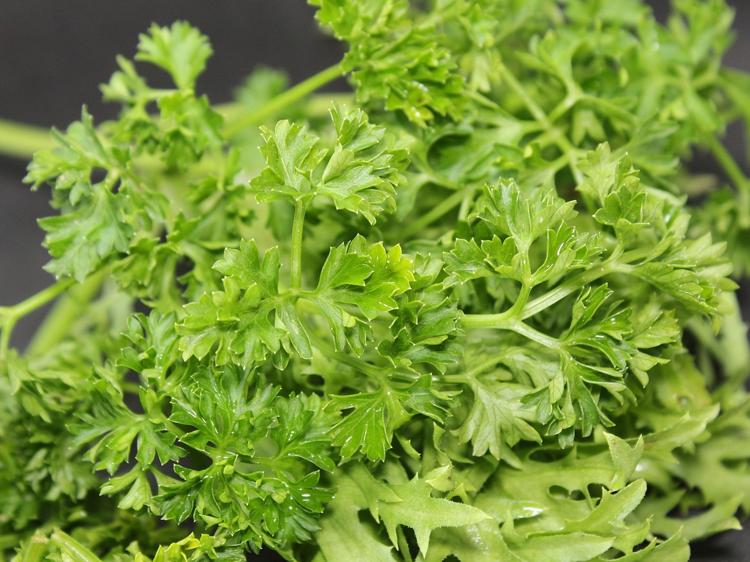 科学炖煮西洋菜更营养，控糖护肠双受益
