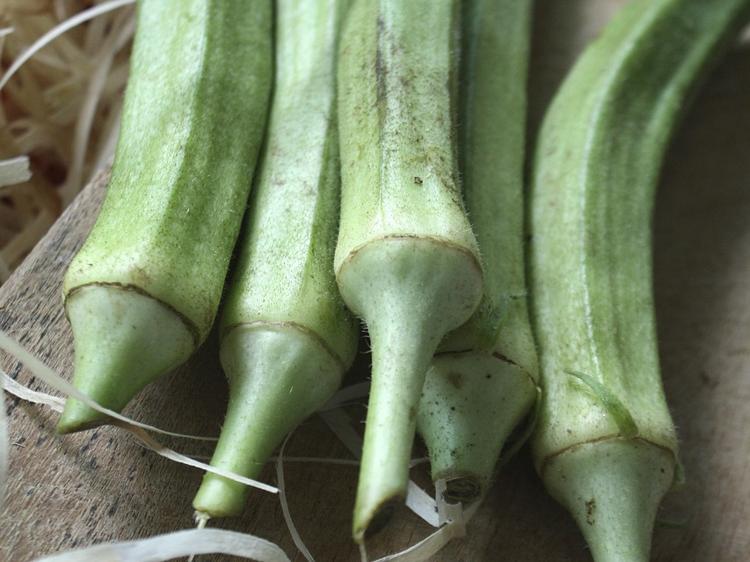 秋季吃这4种“黄金菜”，轻松搞定秋燥和脾胃问题！