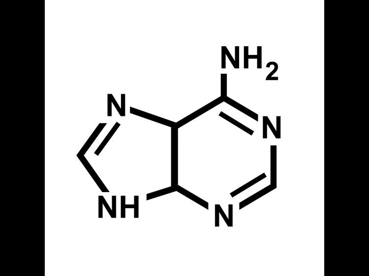 痛风患者怎么运动才科学？一文给你讲明白！