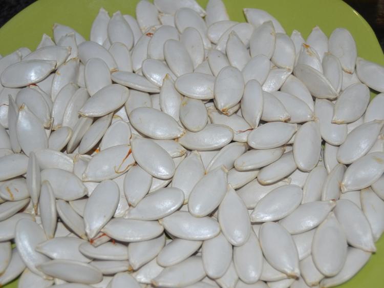 南瓜籽仁的健康密码:科学解析营养功效与实用食用指南 南瓜籽仁的健康密码:科学解析营养功效与实用食用指南
