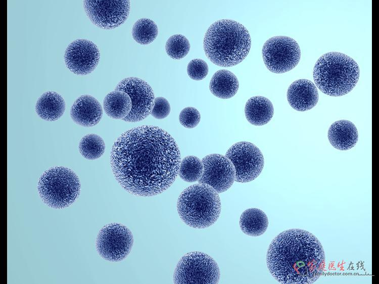 你的手机比马桶还脏每平方厘米17000个细菌