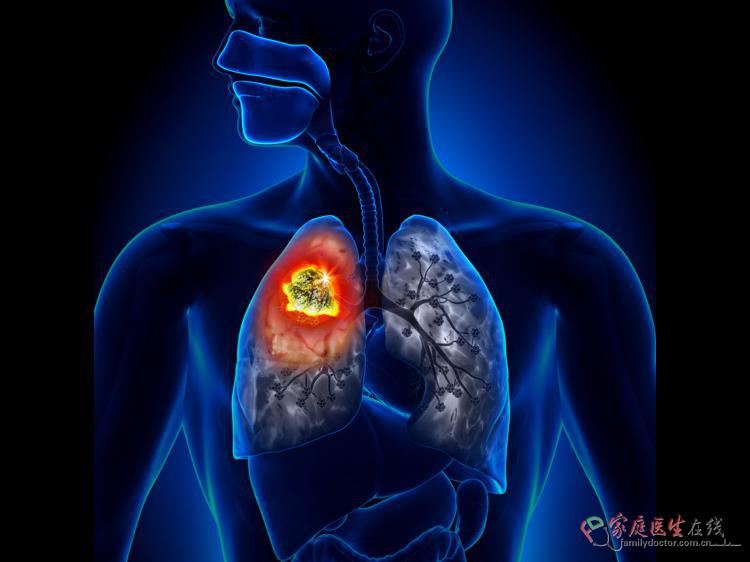 持续低烧的健康警示与科学应对